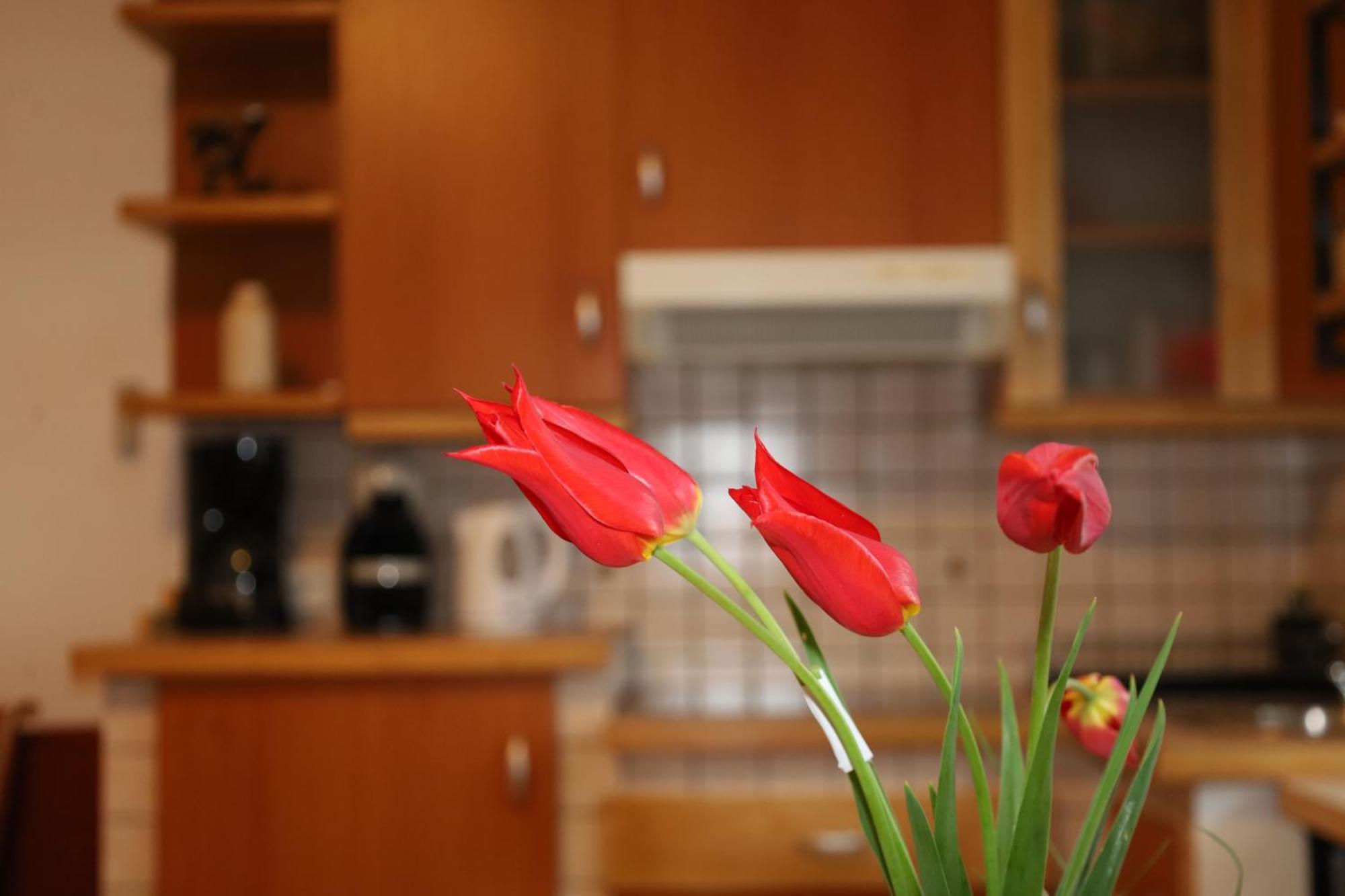 Apartment Norma Bovec Zewnętrze zdjęcie